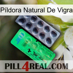 Píldora Natural De Vigra new04